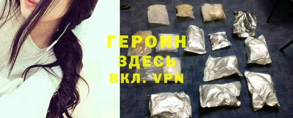гидра Арсеньев
